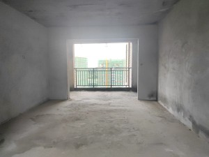 恒隆国际 3室2厅 126㎡ 精装_郴州北湖区梨树山二手房图片