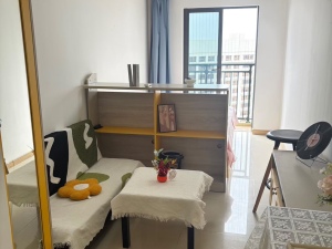 万科金色领域 1室1厅 26.29㎡_佛山南海区千灯湖租房图片