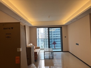 碧桂园灯湖盛世 3室2厅 89㎡ 整租佛山南海区千灯湖租房图片