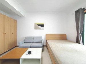 新安湖花园三期 地铁站，公园旁边正南向精装一房出售_深圳宝安区新安二手房图片