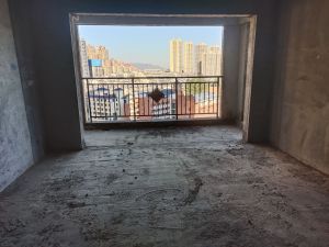 云鼎天阙 3室2厅 136㎡ 毛坯郴州北湖区骆仙二手房图片