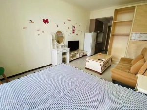 可逸新势力 1室1厅 43㎡_佛山禅城区南桂西租房图片