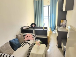 万科金色领域 1室0厅 27.44㎡_佛山南海区千灯湖租房图片