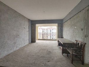 中源国际城 3室2厅 116㎡ 毛坯郴州苏仙区城东二手房图片