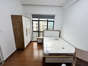 西城品阁 精装1房，南向拎包入住深圳宝安区新安租房图片