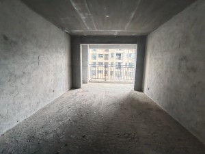 林邑星城二期 3室2厅 121.5㎡ 毛坯郴州北湖区龙泉二手房图片