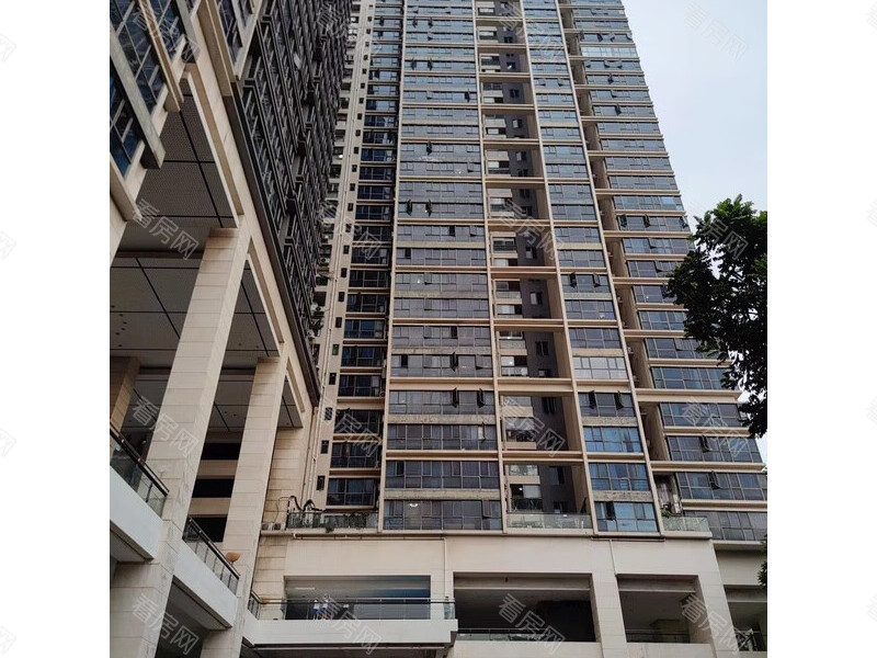 福田区  招商城市主场B座517法拍房图片2