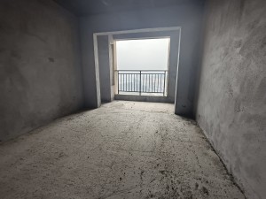 恒隆国际 3室2厅 92㎡ 毛坯_郴州北湖区梨树山二手房图片
