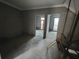 湘域中央墅 5室3厅 276㎡ 毛坯郴州北湖区骆仙二手房图片