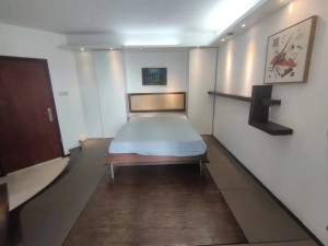 丽阳天下名苑 1室0厅 32.09㎡ 满五唯一深圳福田区石厦二手房图片