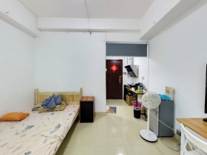 海珑华苑 1室0厅 45.43㎡ 精装深圳罗湖区螺岭二手房图片