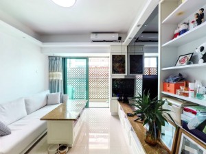 置地逸轩 0佣购买，冲销量，捡漏！真低于售出价_深圳罗湖区春风路二手房图片