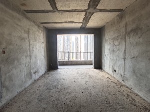 凤凰新城 3室2厅 116㎡ 毛坯郴州苏仙区城东二手房图片