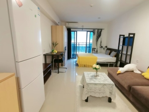 万科金色领域 1室1厅 40.25㎡_佛山南海区千灯湖租房图片