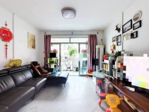 半岛花园B区 满五唯一红本，育才书包空出深圳南山区蛇口二手房图片