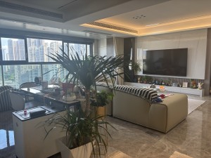 保利天悦BC区 3室2厅 187.78㎡ 精装_佛山南海区千灯湖二手房图片