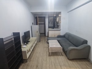 诺德假日花园 2室1厅 49.91㎡ 随时看房深圳南山区前海租房图片