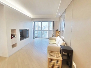 海印长城二期 豪装，即买即住，可约看房深圳南山区南山中心二手房图片