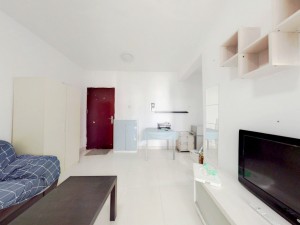 星海名城五期 南山区前海48平精装两房深圳南山区前海二手房图片