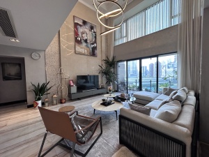 岸芷汀兰 5室2厅 206.67㎡ 满五唯一深圳南山区科技园二手房图片