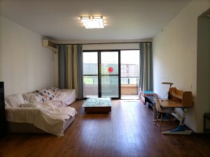 星河时代花园 龙岗大运新城216平5房精装美宅深圳龙岗区大运新城二手房图片