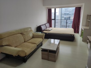 星河世纪 价格合适，看房方便，欢迎咨询，，深圳福田区福田中心二手房图片