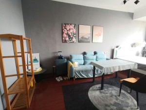 西湖公寓 1室1厅 51.97㎡ 精装 西湖公寓 1室1厅 51.97㎡ 精装衡阳石鼓区天马山二手房图片