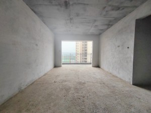 恒隆国际 3室2厅 119㎡ 毛坯_郴州北湖区梨树山二手房图片