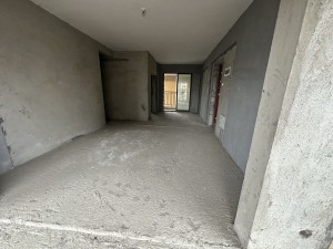 中源国际城 3室2厅 110㎡ 毛坯_郴州苏仙区城东二手房图片