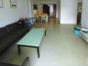 名家富居 业主诚意出售，已经空出来看房方便深圳南山区南头二手房图片