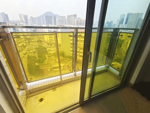 公园道大厦 公寓楼，价格好谈，精装修_公园道大厦二手房阳台图片4