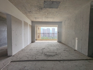 中源国际城 4室2厅 142㎡ 毛坯郴州苏仙区城东二手房图片