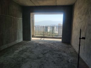 云鼎天阙 4室2厅 132.6㎡ 毛坯郴州北湖区骆仙二手房图片