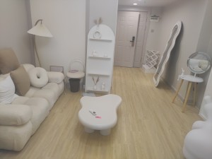 澳新亚首座 价格合适，看房方便，欢迎咨询，深圳福田区福田中心租房图片