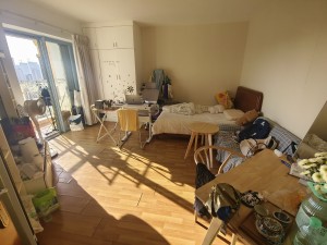 丽阳天下名苑 1室0厅 37㎡ 整租_深圳福田区石厦租房图片