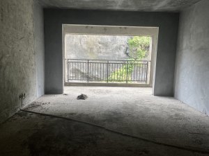 振兴玫瑰园花溪谷 4室2厅 143㎡ 毛坯郴州苏仙区南塔二手房图片