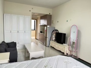 可逸新势力 1室1厅 69㎡_佛山禅城区南桂西租房图片