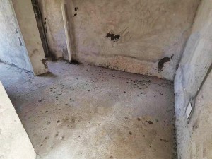 秀乐公馆 2室1厅 46.8㎡ 毛坯中山三乡镇三乡镇二手房图片