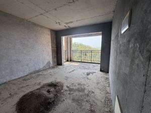 云鼎天阙 3室2厅 125㎡ 毛坯郴州北湖区骆仙二手房图片