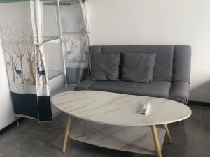 珠江壹号 1室1厅 33㎡ 随时看房_佛山南海区黄岐租房图片