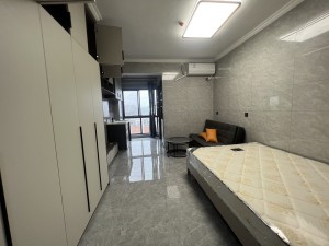 福城明珠 1室1厅 38.4㎡ 精装郴州北湖区龙泉二手房图片