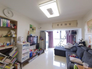雷圳0755 2室1厅 50.24㎡ 精装深圳南山区前海二手房图片
