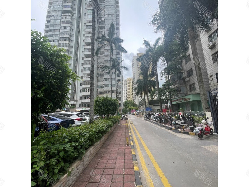 福田区  华景大厦单栋16G法拍房图片5