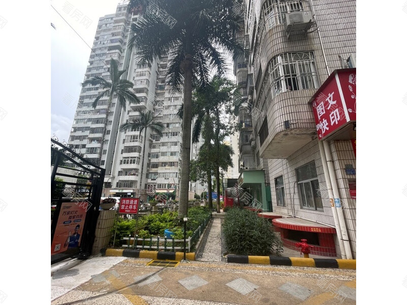 福田区  华景大厦单栋16G法拍房图片7