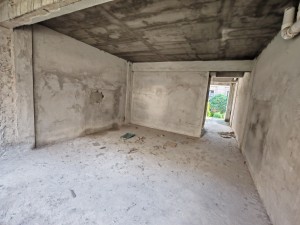 优越温泉郡 5室2厅 66㎡ 毛坯中山三乡镇三乡镇二手房图片