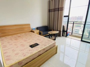 南舜怡海港 1室0厅 39.77㎡_佛山南海区桂城东租房图片