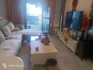 雅居乐万象郡泊岸 3室2厅 88.96㎡ 满五唯一中山三乡镇三乡镇二手房图片