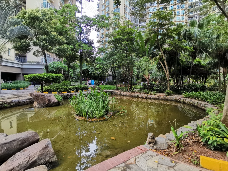 深圳星海名城三期小区信息图片4
