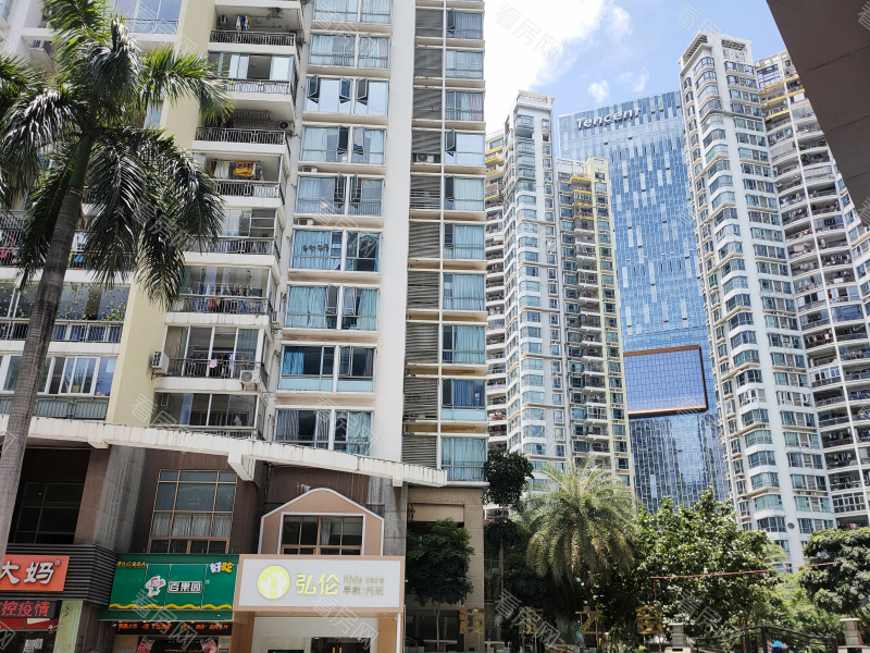 深圳滨海之窗小区信息图片1