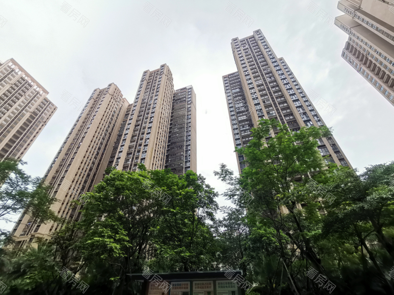 深圳力高君御花园小区信息图片8